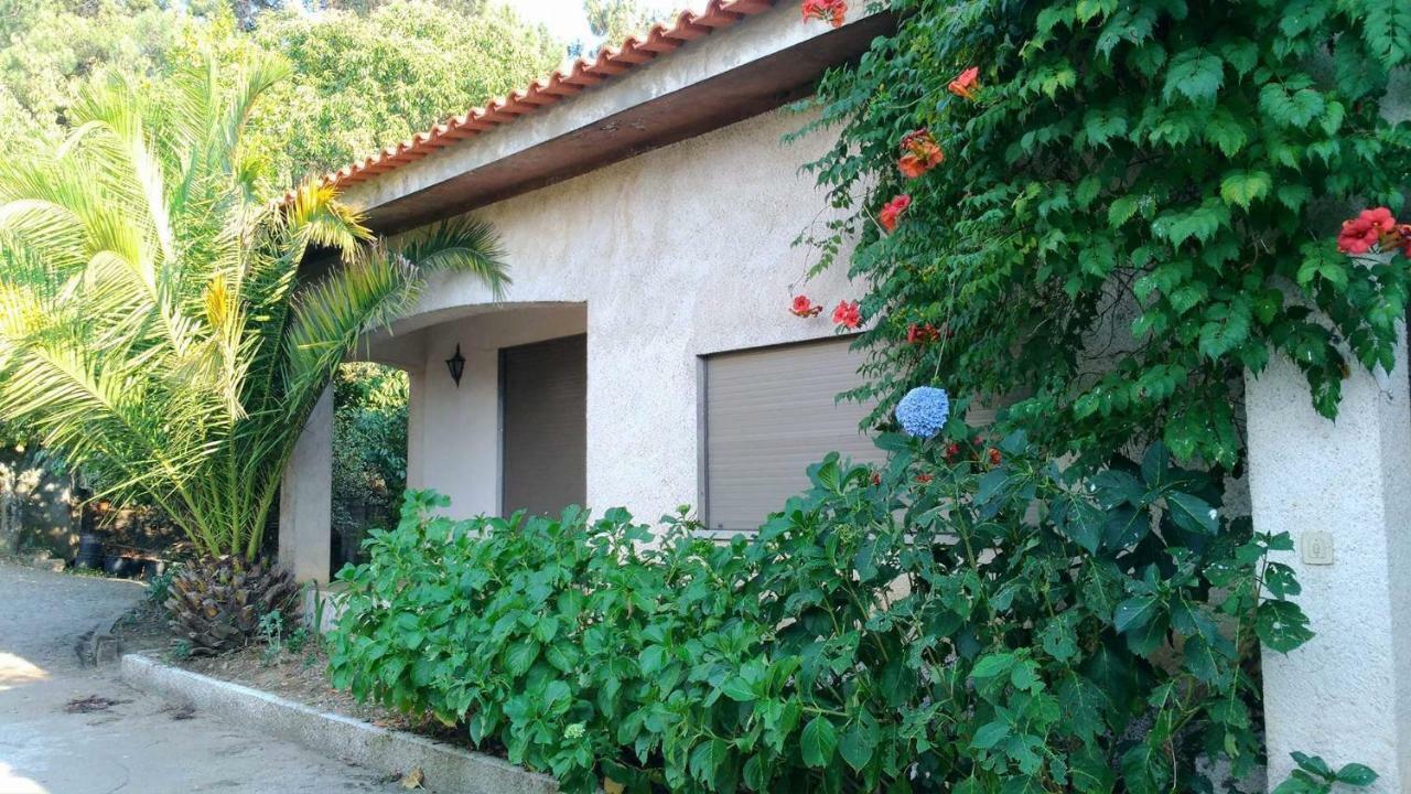 Casa Deus Villa Sabrosa Exterior foto